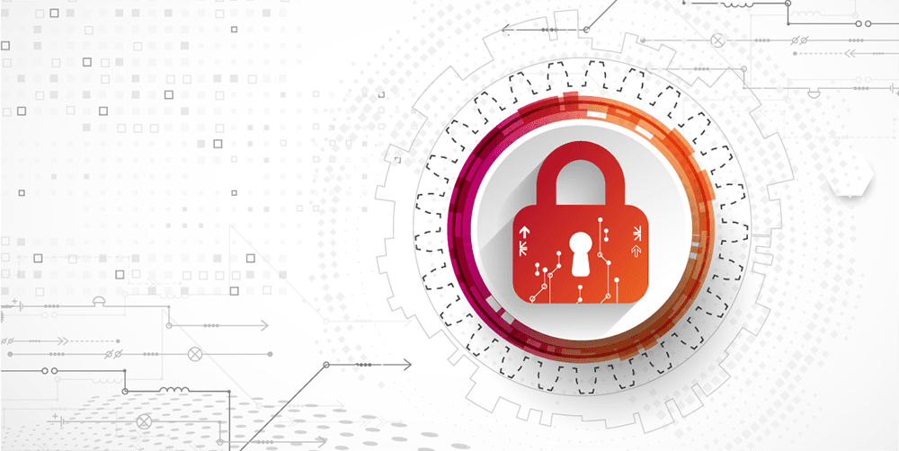 Is Webull Safe? What to Know Before Using it - Tasty Referrals