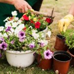 hobby to side hustle