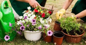 hobby to side hustle